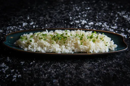 Rice