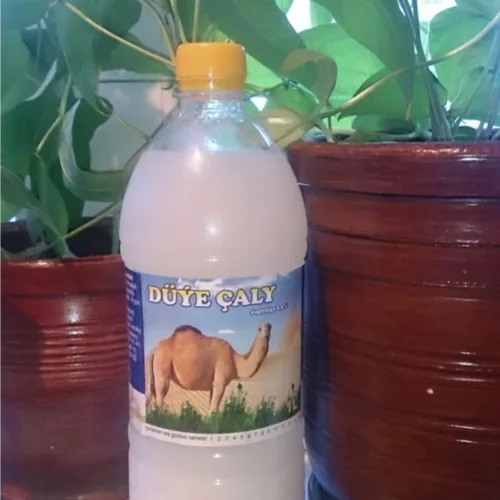 Camel chal 1 l.