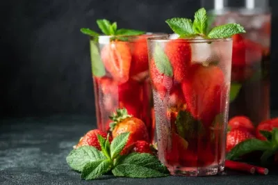 MOJITO CLUBLINK