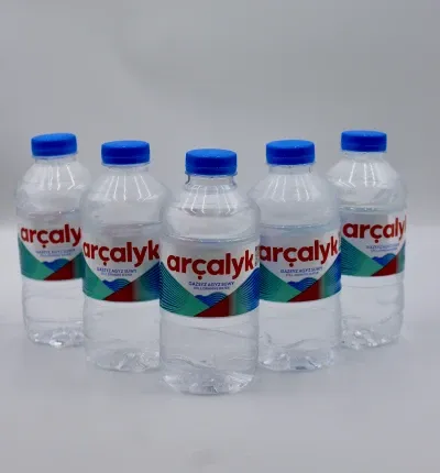 Archalyk water 0,3