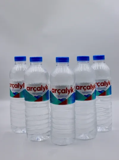 Archalyk water 0,5